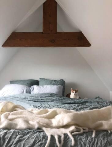 Beautiful Cosy Apartments In The Heart Of Antwerpen Eksteriør billede